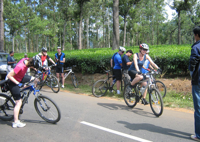 Cycling through Tea Gardens at Munnar