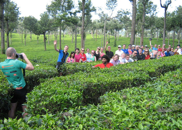 Memories of tea gardens during cycling at Munnar