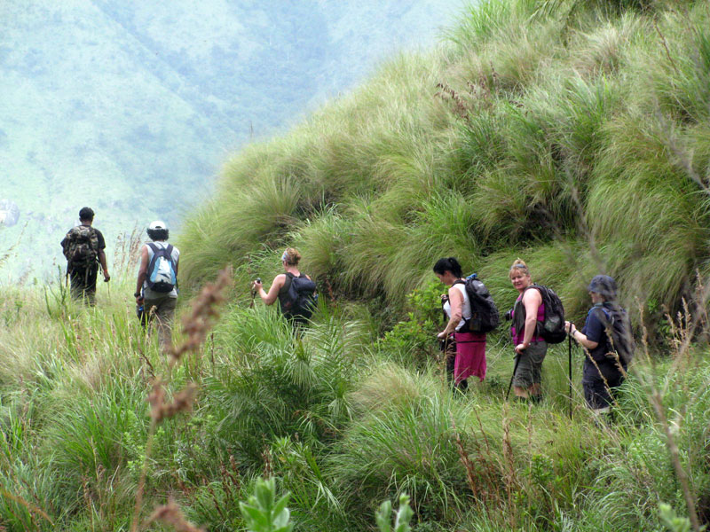 Trekking trails near the Munnar camp