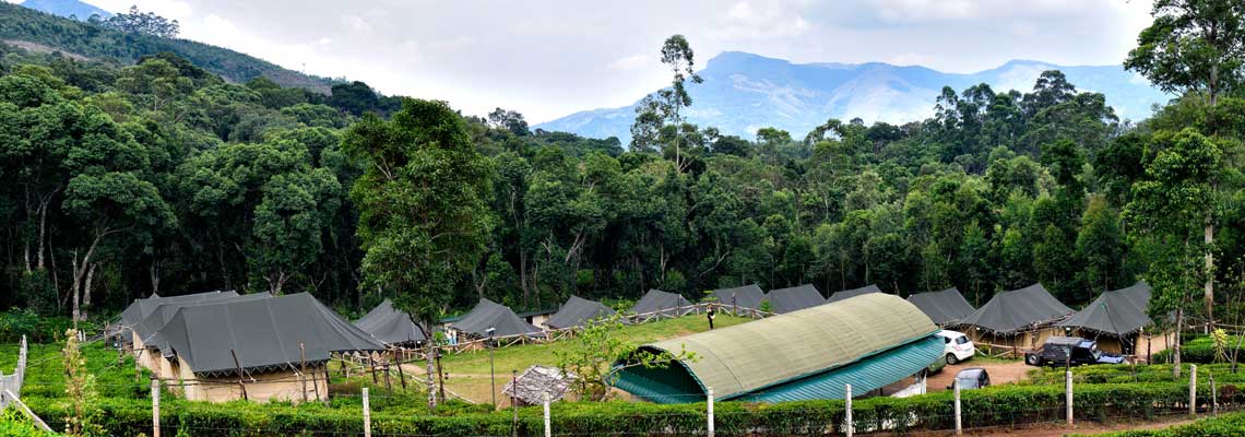 Munnar Camp